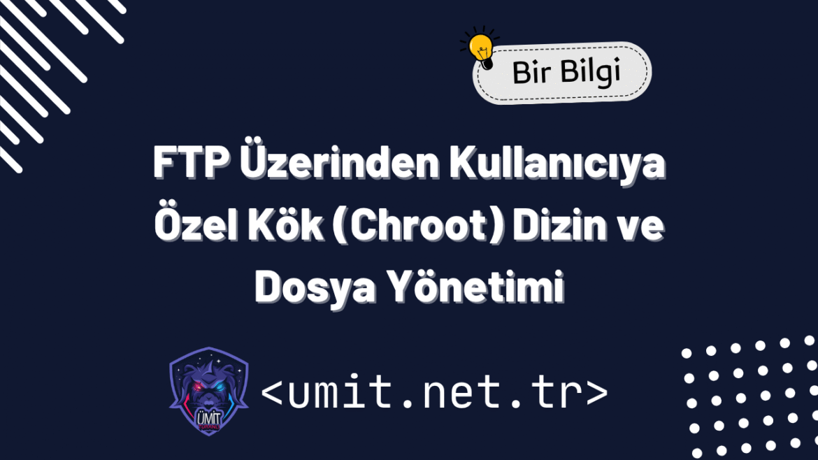 ftp kök dizini